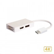 TECHLY DISPLAYPORT TO DVI/HDMI/DISPLAYPORT ADAPTER