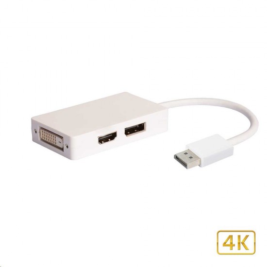 TECHLY DISPLAYPORT TO DVI/HDMI/DISPLAYPORT ADAPTER