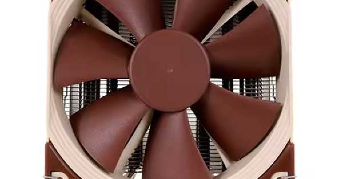 Shell Limited Fan CLEARANCE SOUTH